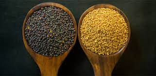 Vegetable-oils-oilseeds-prices-are-increasing-and-this-situation-will-benefit-Mustar-growers-in-Rajasthan-Uttar-Pradesh